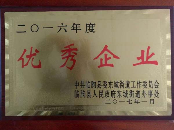 Excellent Enterprises in 2016