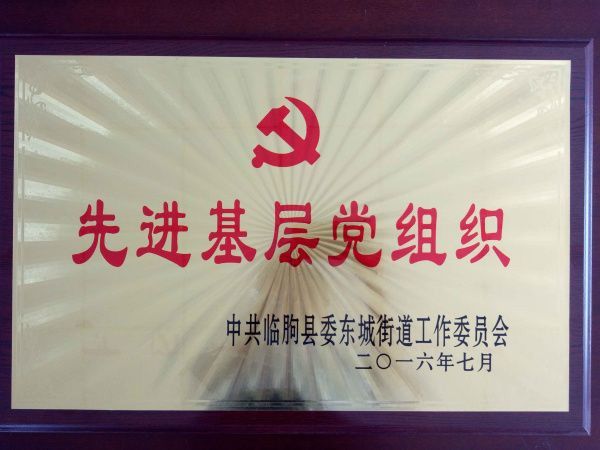 Advanced Grass-roots Party Organizations
