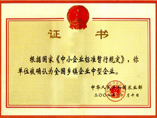 Certificate of Certification for Medium-sized Enterprises in Township Enterprises