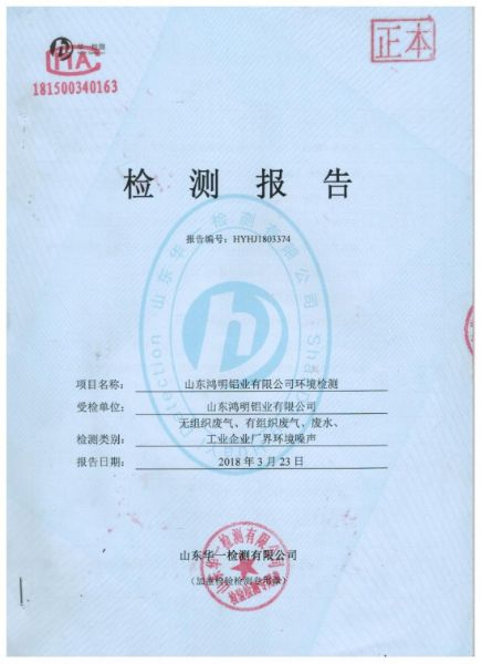 Test Report